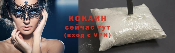 стафф Алзамай