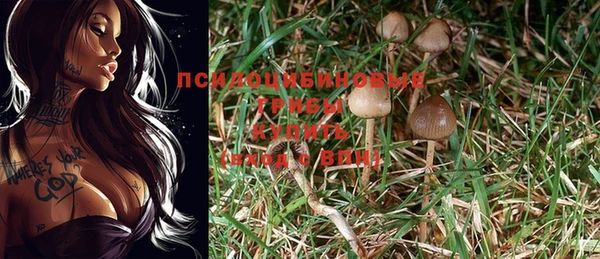 амфетамин Алексин