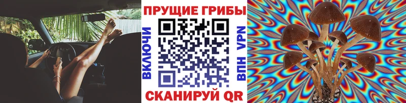 Галлюциногенные грибы GOLDEN TEACHER  Междуреченск 